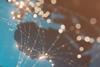Corporate Hybrids Take the World Stage