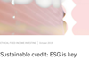 Sustainable credit ESG is key