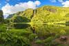 Why engaging with companies on biodiversity matters more than ever