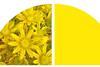 2024 Stewardship Annual Report