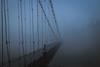 Suspension bridge in the mist