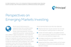 Perspectives on Emerging Markets Investing