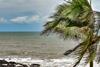 A Sea Change for Commodity Prices- Why Markets appear to be Underpricing El Niño Risks