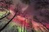 Merger Arbitrage: The Stars Could Be Aligning