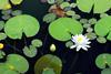 Article Tech IPOs play leapfrog