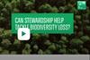 How can stewardship help tackle biodiversity loss?