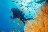 ESG Thema #20 - Blue Economy- Ready, Set, Sail!