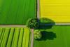 The future of sustainable investing- Strategies, challenges and opportunities