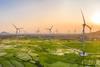Green is not enough- The need to scale up transition finance