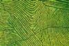Multi-Asset Investments Views- From extreme caution to upside chasing