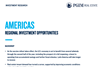 Global Outlook 2021 - Americas