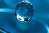 fhl-spectrum-biotech-image-september-2024