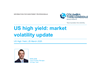 US high yield - market volatility update