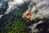 GettyImages-1460170253-forest-on-fire-1024x651