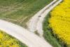 The Chief Economist view- Divergence