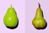 pear-compare-lg