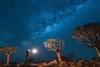 2025 outlook- private markets shine bright