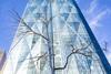 Hines and Ivanhoé Cambridge Near Completion of CIBC SQUARE With Topping Out of 141 Bay Street