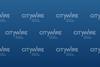 citywire-wealth-manager-hero