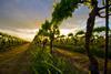 pm_15223_pm_viewpoint_power_of_ideas_brian_kernohan_hero_image
