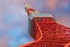 Japan’s Corporate Reforms Create a Catalyst for Equity Returns