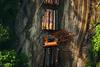 How can you invest in sustainable forestry?
