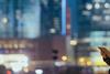 Global Investment Views - July-August 2025