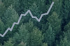 ESG Thema #5 - Carbon offsetting - How can it contribute to the net zero goal?