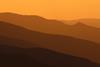 The contours of a new trade landscape