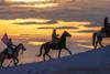 CIO Weekly- The Mag 7 Pulls Apart