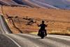 Ride the policy noise and shifts
