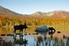 Pathways for investing in biodiversity