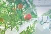 csm_Agritech_in_2025_green_gradient_wave_836f224fcb