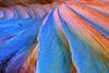 Capitalizing on the growing European direct lending market