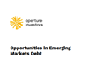 Opportunities in Emerging Markets Debt