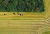 tractor farming sustainable