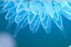 Coronavirus - the long-term impacts on emerging markets
