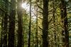 Timberland delivers another year of strong performance in 2024