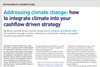 Addressing climate change - how to integrate climate into your cashflow driven strategy