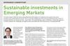 Sustainable investments in Emerging Markets