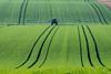 Why farmland now? A store of value during economic uncertainty and inflationary periods