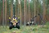 Forestry - dreamstime_m_44156258