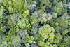 Integrating sustainability every step of the way