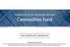 NB-Commodities Fund Intro