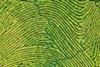 Multi-Asset Views- Potential opportunities through diversification