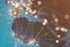 Corporate Hybrids Take the World Stage—Revisited