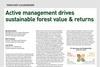 Active management drives sustainable forest value & returns