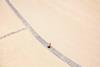 Navigating fixed income in 2025: Key trends and insights