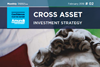 cross asset investment strategy february 2018