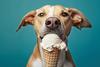 1333501 M&GINV Image search for article - Dog-friendly ice cream 1208x604 10-24